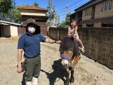ポニーの乗馬体験